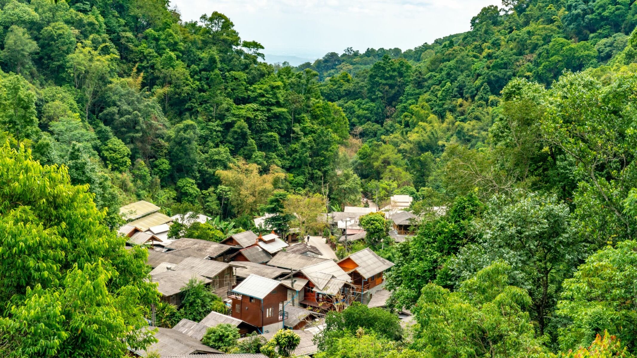 Travel guide to Mae Kampong Village