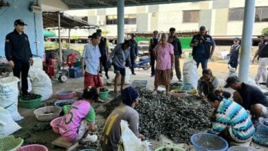 Chon Buri police crack down on illegal workers on fishing boats