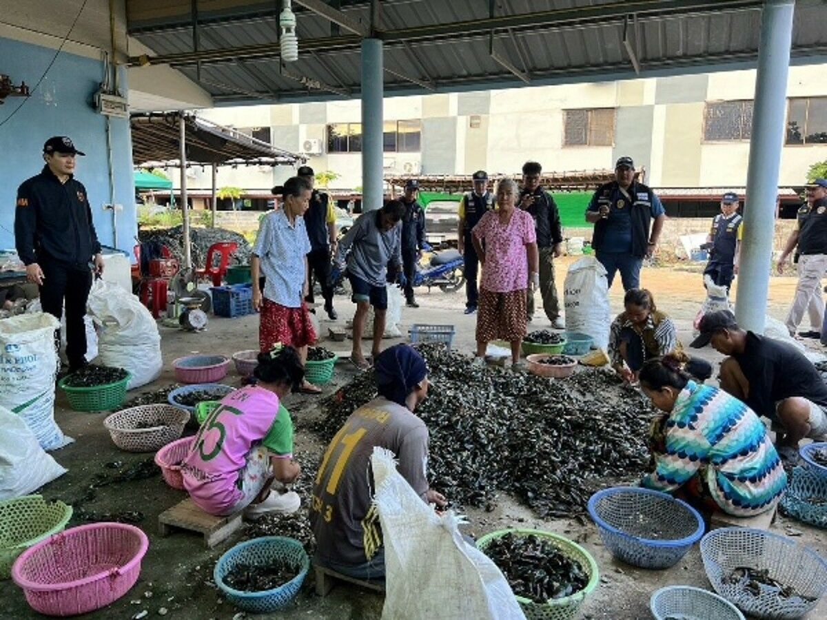 Chon Buri police crack down on illegal workers on fishing boats