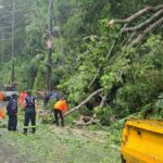 Patong mayor urges caution after landslips and road damage | Thaiger