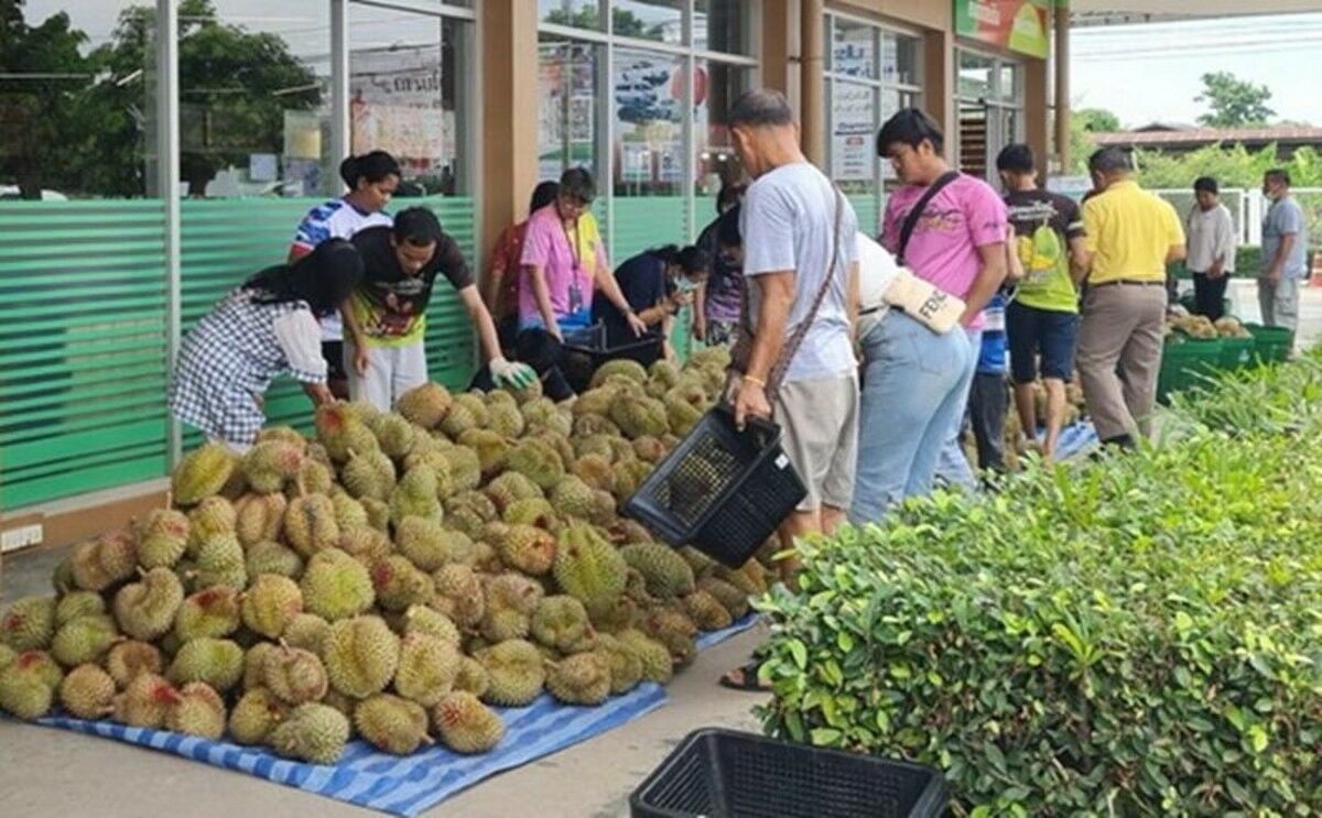 Sukhothai launches durian festival with Monthong at just 1 baht