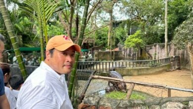 Thai king’s son meets famous pygmy hippo Moo Deng