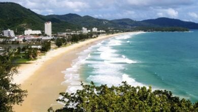 Phuket hotels see steady service charges and rising room rates