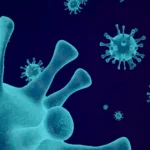 Flood borne diseases in Thailand that you should watch out for | Thaiger