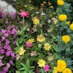 Thailand’s flower power: a splash of life and tradition