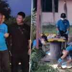 Son kills mother days after drug rehab return in Nakhon Pathom | Thaiger