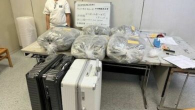 Thai woman nabbed in 90 million cannabis haul in Taiwan