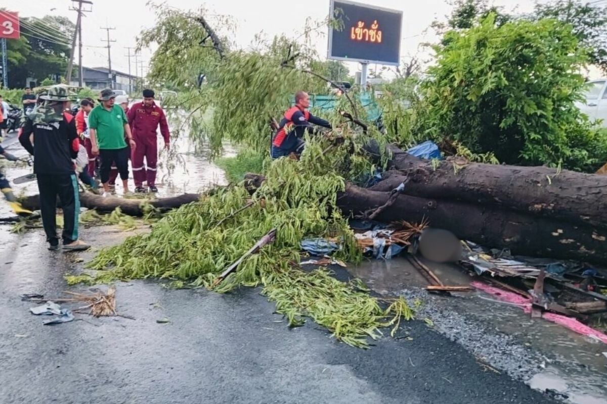 Tree falls on roti shop during thunderstorm, killing 9 year old boy 