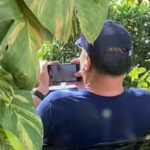 Thai man condemned for using free cafe WiFi to watch porn (video) | Thaiger