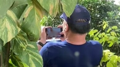 Thai man condemned for using free cafe WiFi to watch porn (video)