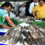 Fishermen reel in CPF with 2.4 billion baht ‘tilapia’ suit | Thaiger