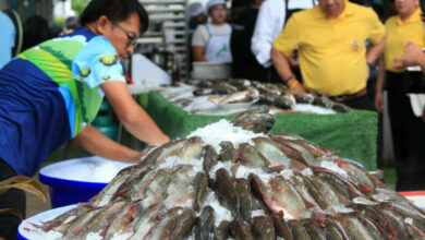 Fishermen reel in CPF with 2.4 billion baht ‘tilapia’ suit