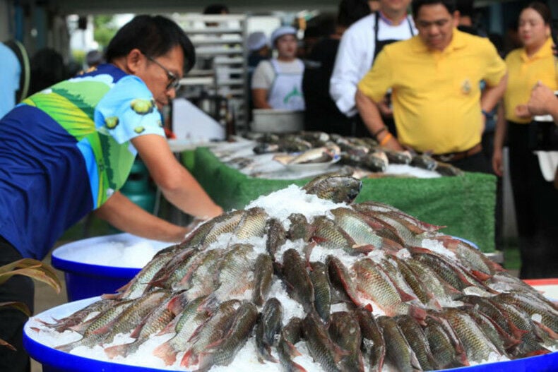 Fishermen reel in CPF with 2.4 billion baht ‘tilapia’ suit