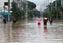 Flooding devastates Chiang Mai tourism, occupancy drops to 50%