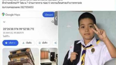 Boy stranded in Chiang Rai floodwaters prompts urgent rescue plea