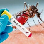Phuket health officials warn of dengue crisis after floods | Thaiger