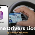 How to apply for an online driving licence in Thailand | Thaiger