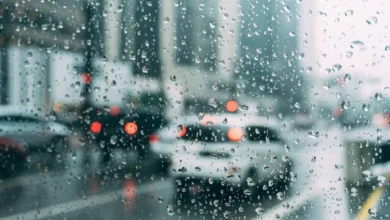 Top cars built for Thailand’s rainy season | Thaiger