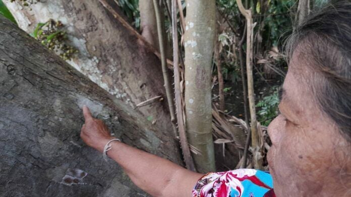 Grandmother finds lucky number at Kham Chanod Island