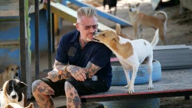 Paws for applause: Reformed drug addict pens ‘Home. Made.’ to aid 1,000 rescue dogs | Thaiger