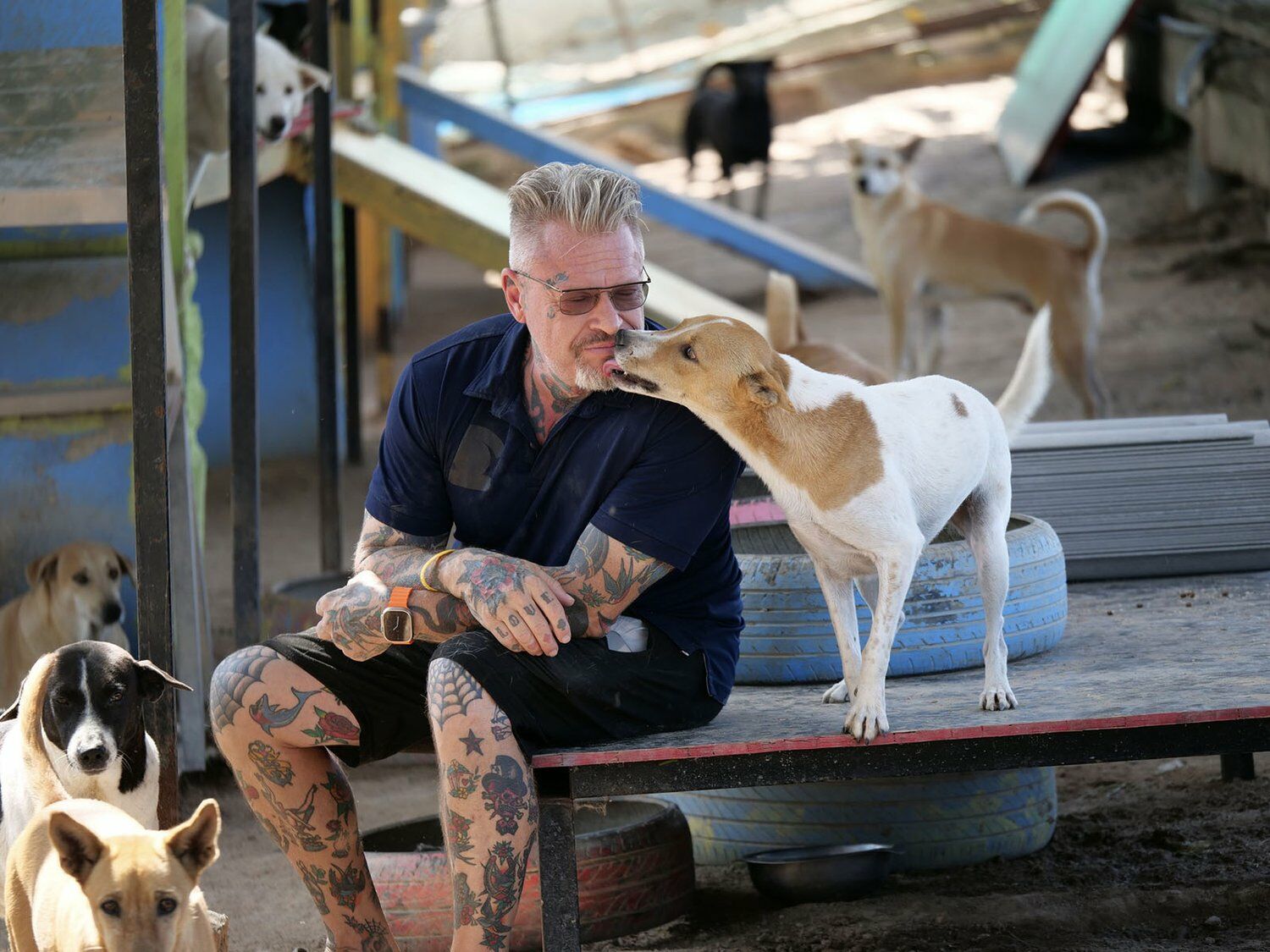 Paws for applause: Reformed drug addict pens ‘Home. Made.’ to aid 1,000 rescue dogs