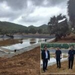 Pattaya&#8217;s million-baht plan to save Koh Larn’s water supply | Thaiger