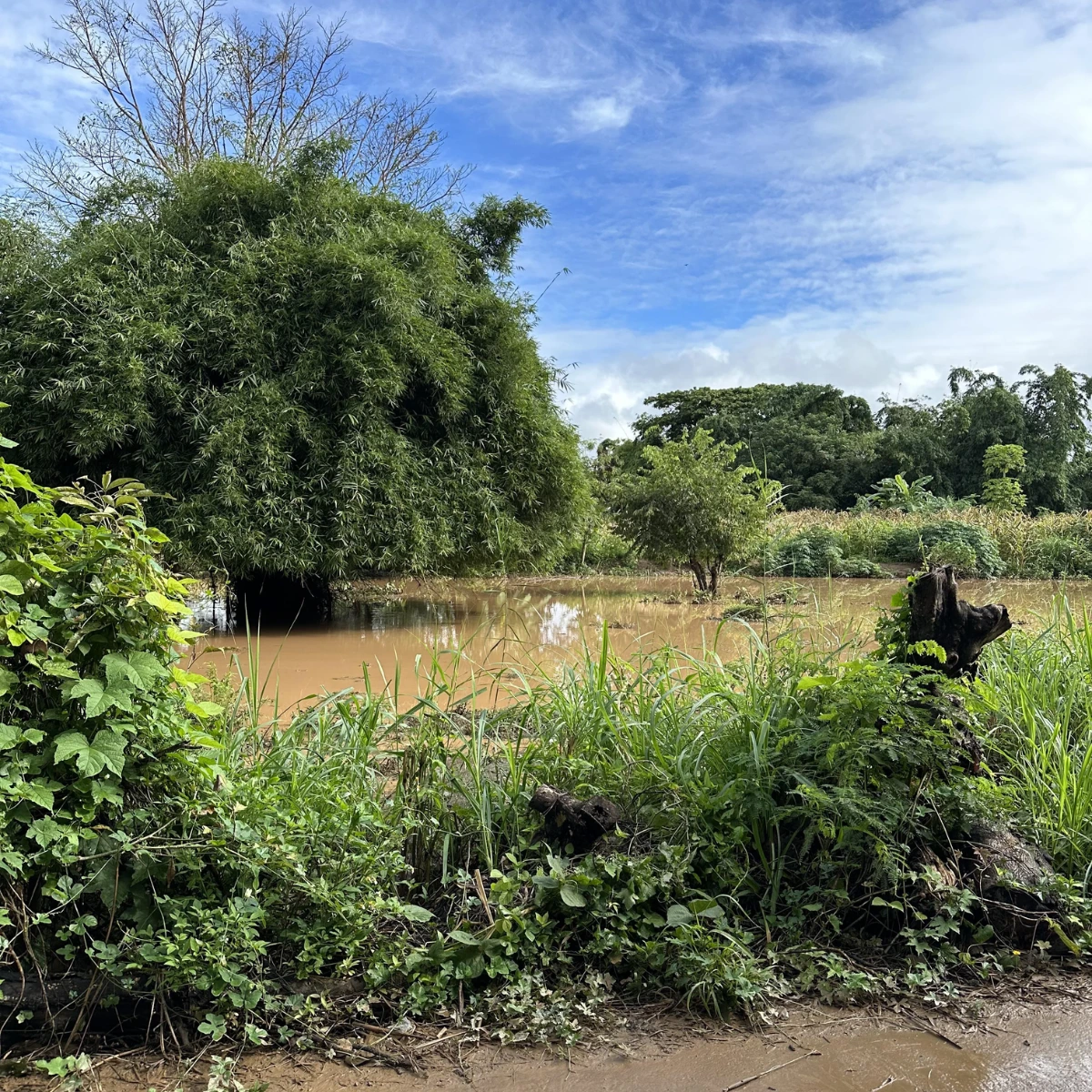 Flood in Pai