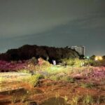 Catch of the day: Pattaya fisherman&#8217;s grim pond discovery | Thaiger