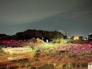 Catch of the day: Pattaya fisherman’s grim pond discovery