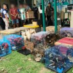 Thai nationals arrested for smuggling wildlife from Indonesia | Thaiger