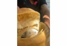 Pastry drama: Temu croissant lamp turns out to be edible (video)