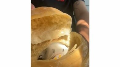 Pastry drama: Temu croissant lamp turns out to be edible (video)