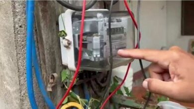 Durian plantation owners busted for cheating electricity meters