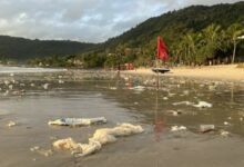 Monsoon leaves Patong Beach littered with trash and plastic waste