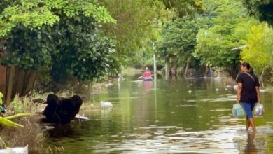 Tropical storm Sonca to bring heavy rain to northeast Thailand