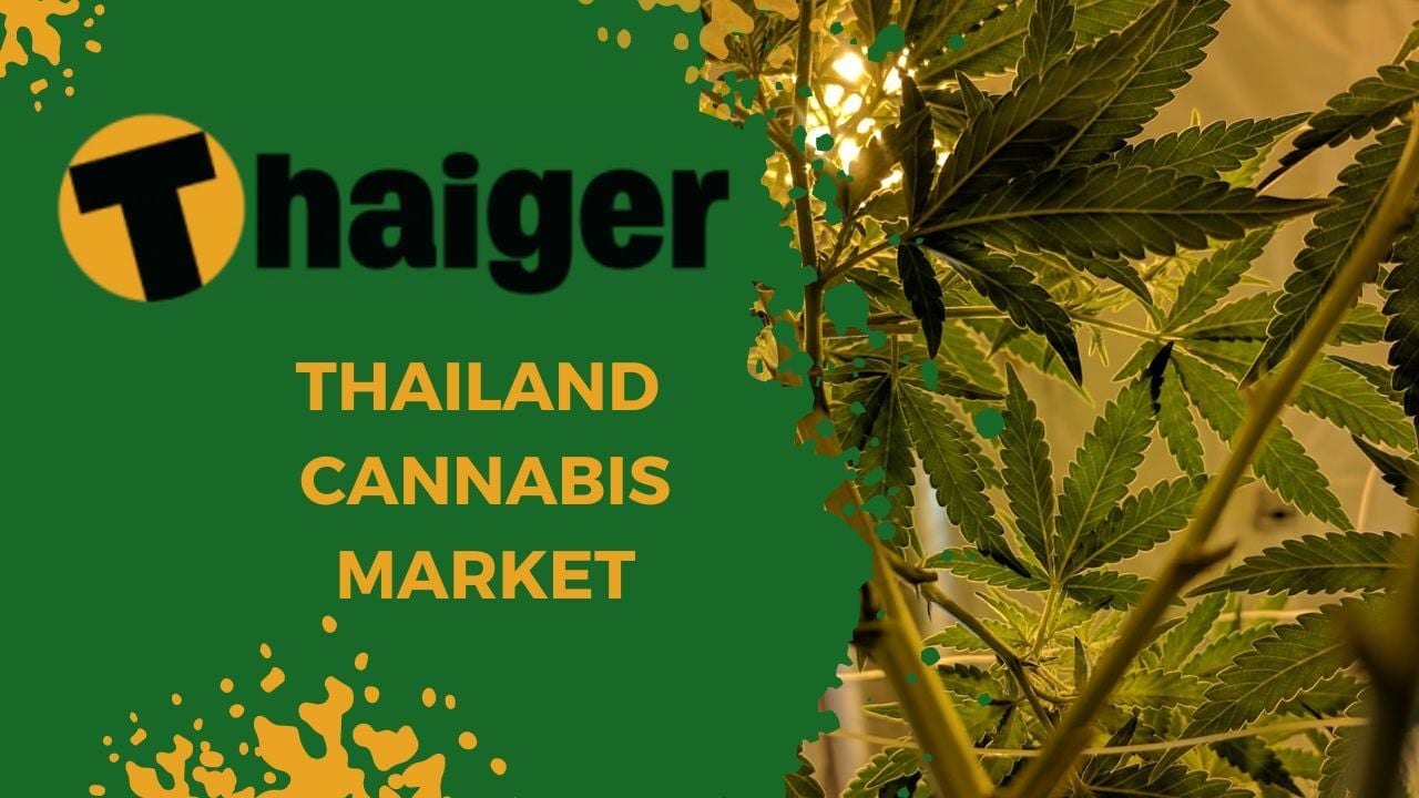 Cannabis market in Thailand