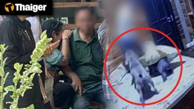 Thailand video news | 18 year old killed by American Bully dogs in Lopburi, Indonesia to reform Bali tourism amid growing concerns