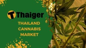 Cannabis market in Thailand