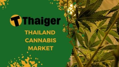 Cannabis market in Thailand | Thaiger