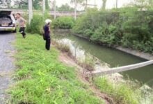 Factory worker finds body with stab wounds in Ayutthaya canal