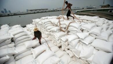 Thai rice prices fall in a grainy twist as Indonesian bids drop