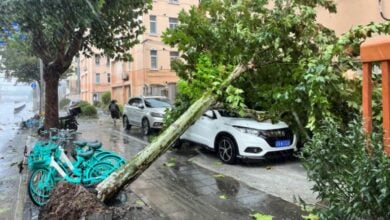 City in chaos: Typhoon Bebinca slams Shanghai