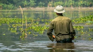 Thailand’s innovative approaches to flood management | Thaiger