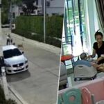 Mother and child narrowly escape attack by two Thai dogs (video) | Thaiger