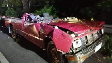 Fallen tree kills one, injures another in Rayong rainstorm