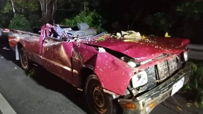 Fallen tree kills one, injures another in Rayong rainstorm