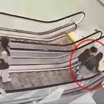 Escort injured in escalator attack by man&#8217;s ex-girlfriend in Thailand (video) | Thaiger