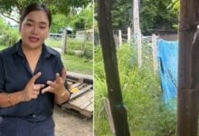 Thai man dies after enduring harassment from illegal chicken farm (video)