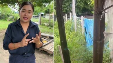 Thai man dies after enduring harassment from illegal chicken farm (video)