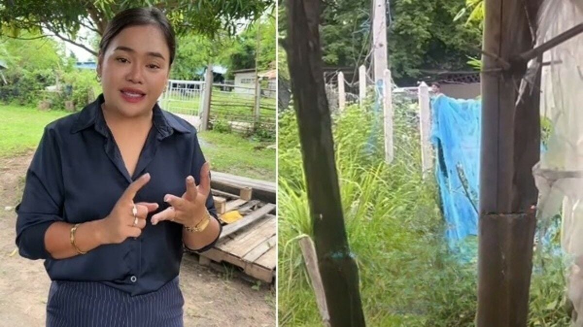 Thai man dies after enduring harassment from illegal chicken farm (video)